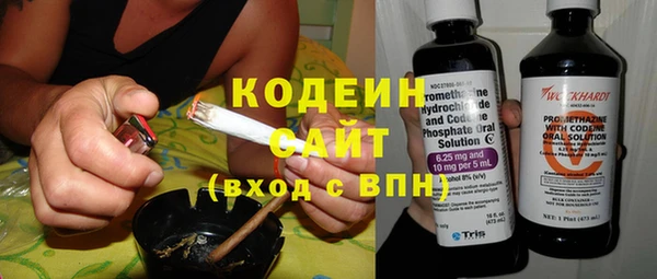 прущий лед Бородино