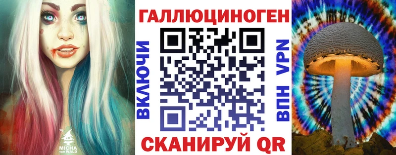 Псилоцибиновые грибы Psilocybe как найти закладки Вуктыл
